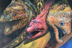 うつぼアメイジング