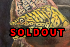 （ギャラリー）いきなりうつぼ２