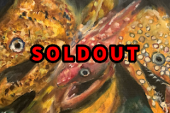 （ギャラリー）いきなりうつぼ